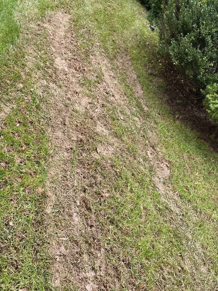 Professional lawn care service experts serving Charlotte, NC - ExperiGreen Lawn Care