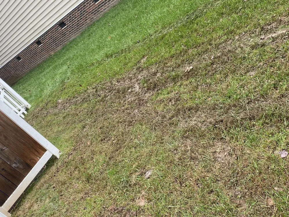 Top-rated yard maintenance experts serving Charlotte, NC - ExperiGreen Lawn Care