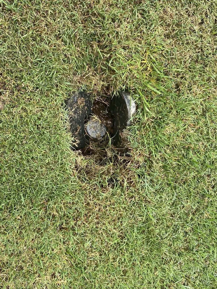 Local yard cleanup service in Charlotte, NC - ExperiGreen Lawn Care