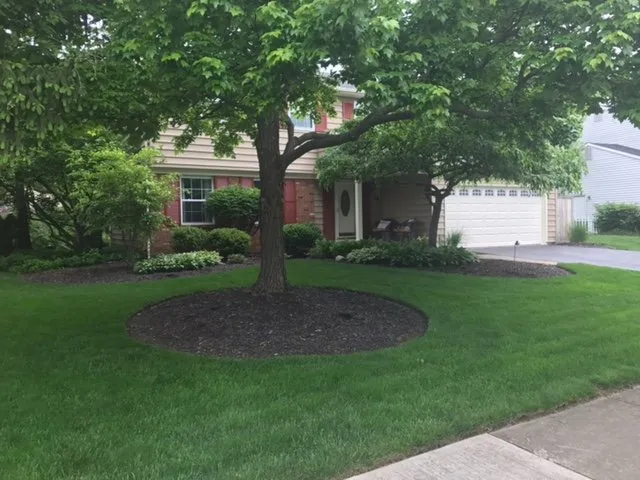 Custom landscape installation experts serving Detroit, MI - ExperiGreen Lawn Care