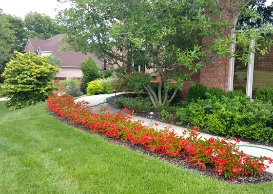 Expert yard cleanup service in Detroit, MI by ExperiGreen Lawn Care