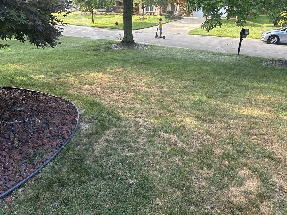 Trusted lawn mowing service in Detroit, MI - ExperiGreen Lawn Care