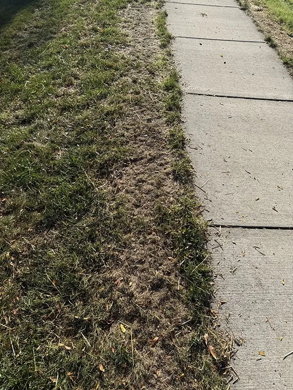 Custom lawn mowing service in Detroit, MI by ExperiGreen Lawn Care