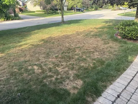 ExperiGreen Lawn Care Logo