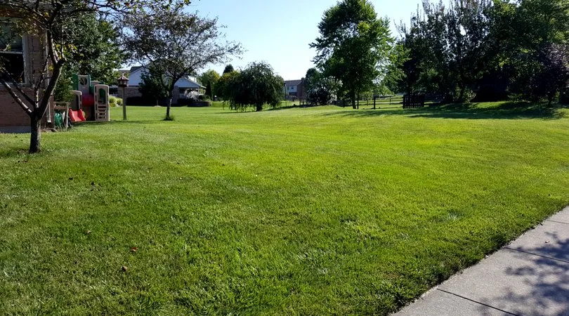 Custom yard cleanup service experts serving Gahanna, OH - ExperiGreen Lawn Care