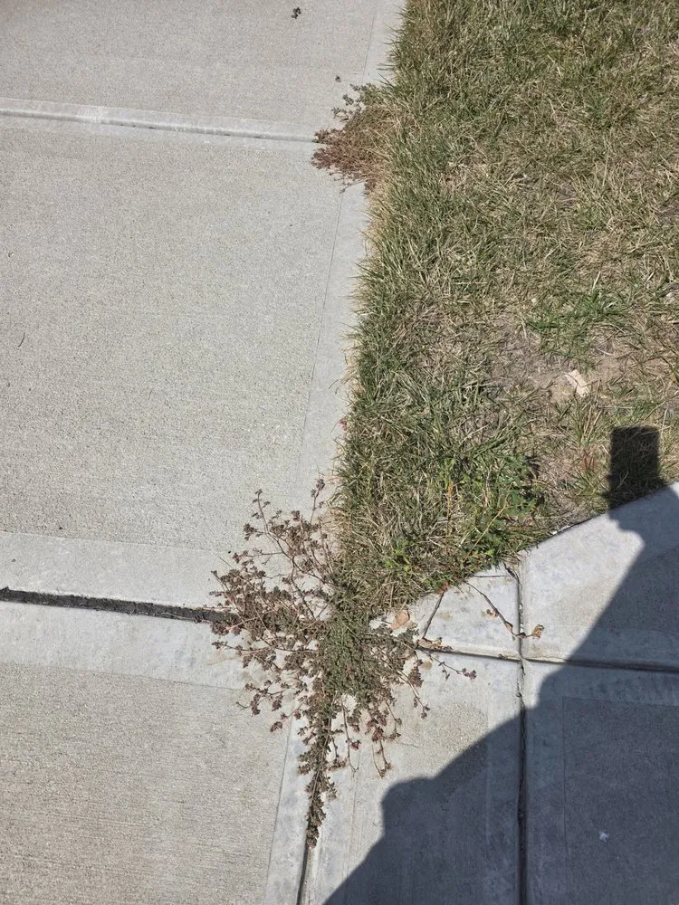 Custom yard cleanup service experts serving Indianapolis, IN - ExperiGreen Lawn Care