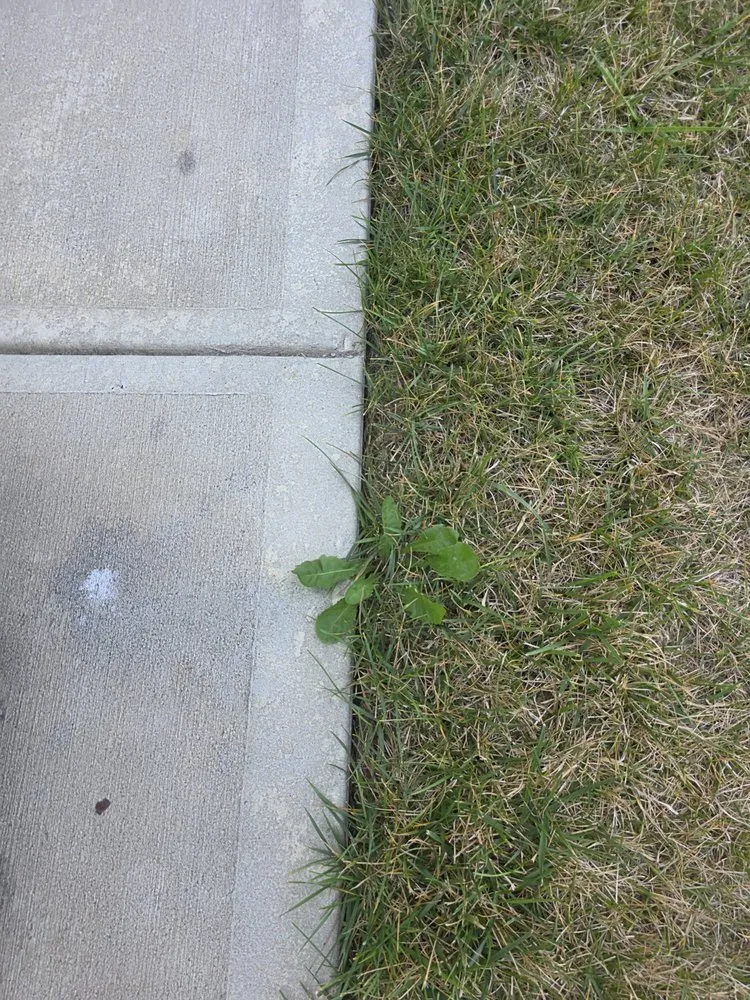 Top-rated garden landscaping for year-round maintenance in Indianapolis, IN by ExperiGreen Lawn Care