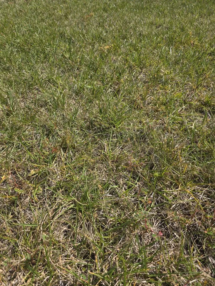 Professional outdoor landscaping experts serving Indianapolis, IN - ExperiGreen Lawn Care