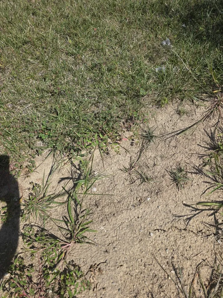 Local garden landscaping experts serving Indianapolis, IN - ExperiGreen Lawn Care