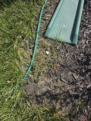 ExperiGreen Lawn Care Logo