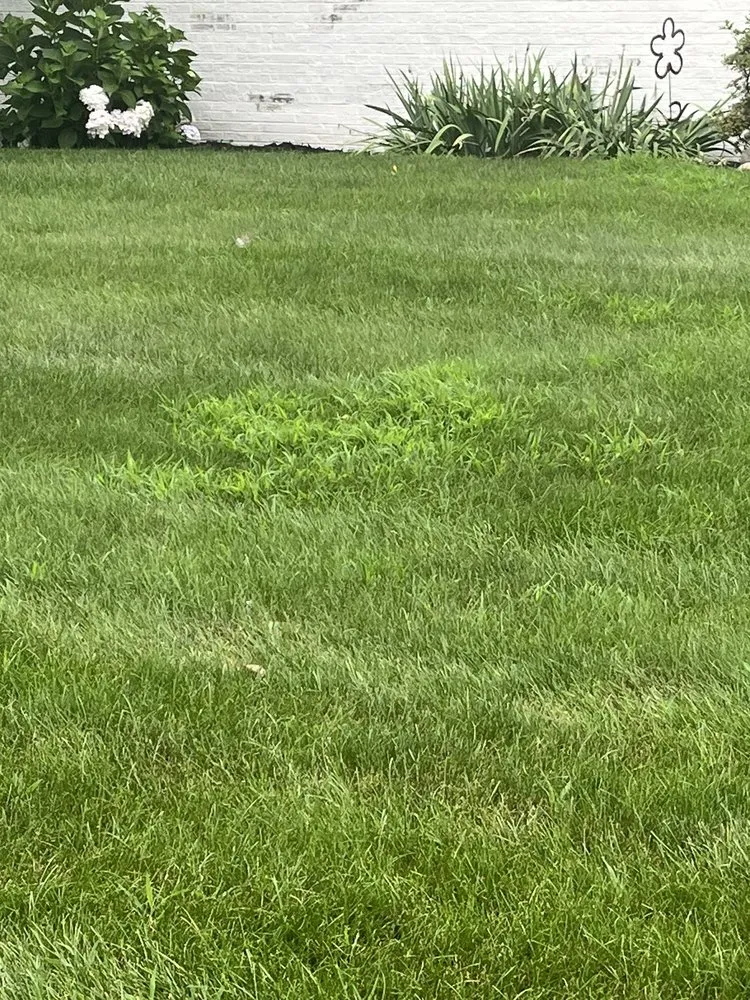 Trusted landscape installation in Mishawaka, IN by ExperiGreen Lawn Care