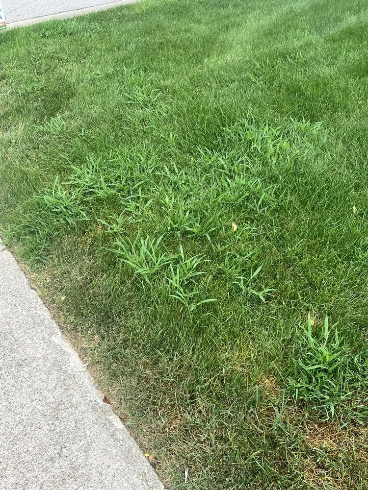 Affordable landscape design with custom design in Mishawaka, IN by ExperiGreen Lawn Care