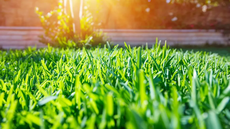 Affordable residential landscaping in Mishawaka, IN - ExperiGreen Lawn Care