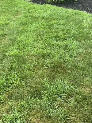 ExperiGreen Lawn Care Logo