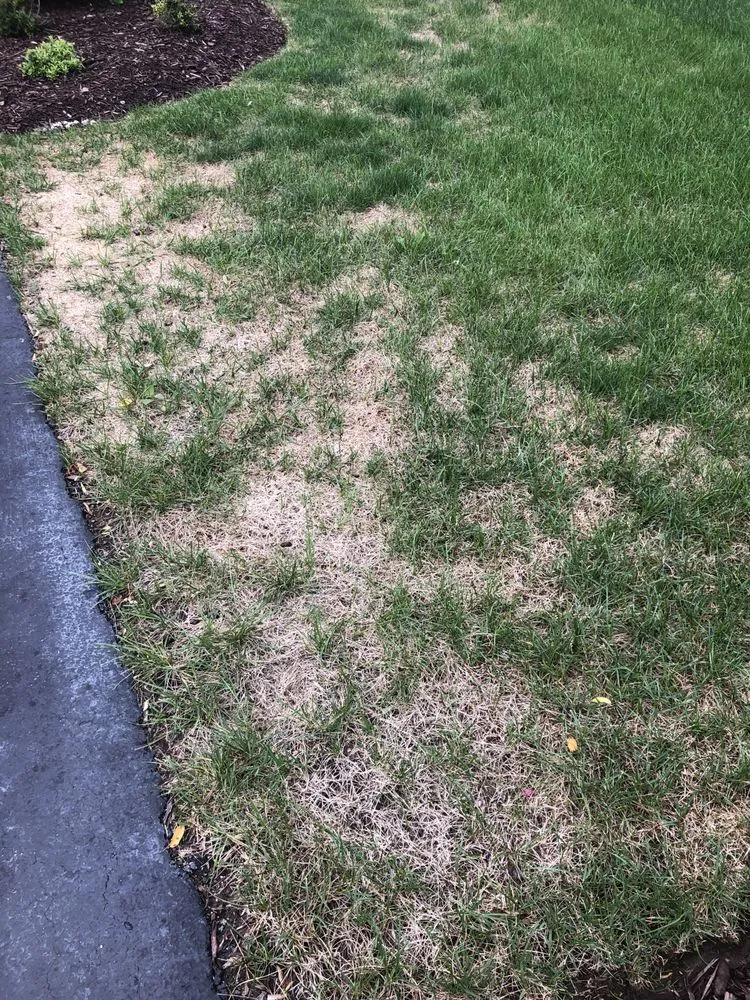 Custom yard maintenance for beautiful yards across Tinley Park, IL - ExperiGreen Lawn Care