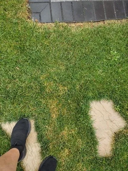 Reliable yard cleanup service experts serving Tinley Park, IL - ExperiGreen Lawn Care