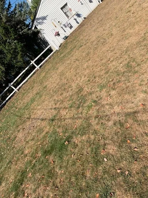 Local residential landscaping experts serving Tinley Park, IL - ExperiGreen Lawn Care