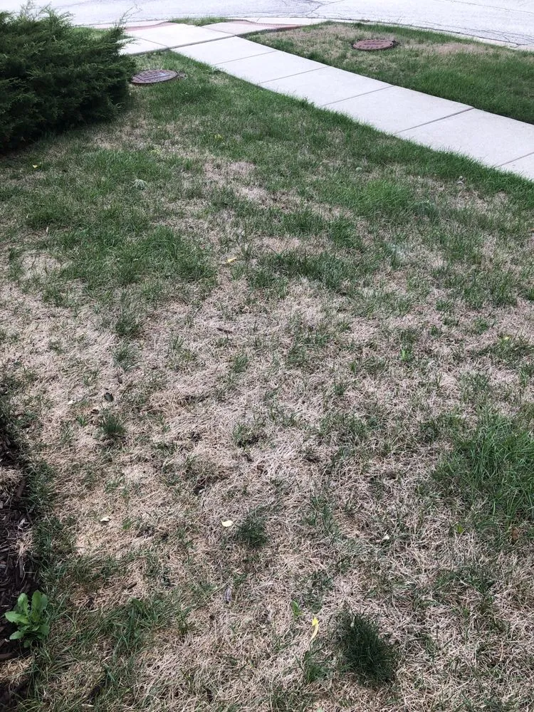 Custom residential landscaping for homes across Tinley Park, IL - ExperiGreen Lawn Care