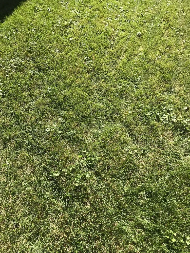 Trusted garden landscaping for residential properties across Tinley Park, IL - ExperiGreen Lawn Care