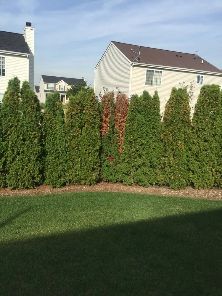 Custom lawn mowing service experts serving Tinley Park, IL - ExperiGreen Lawn Care