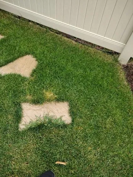 Affordable yard maintenance in Tinley Park, IL by ExperiGreen Lawn Care