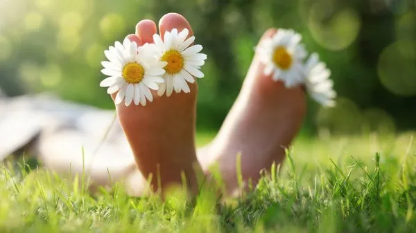 Expert residential landscaping experts serving Tinley Park, IL - ExperiGreen Lawn Care