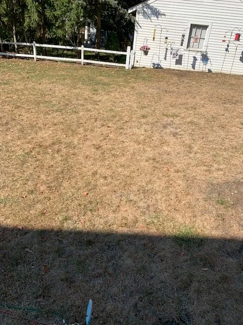 Affordable landscape design experts serving Tinley Park, IL - ExperiGreen Lawn Care