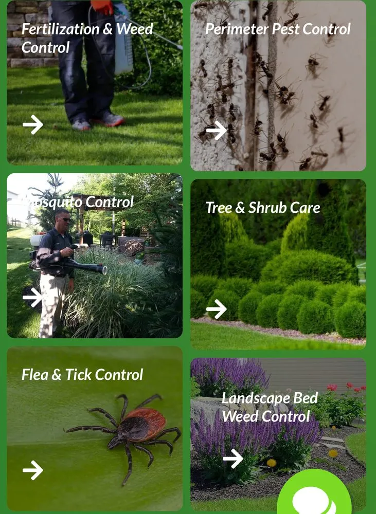 Trusted outdoor landscaping for year-round maintenance across Wolverine Lake, MI - Experigreen