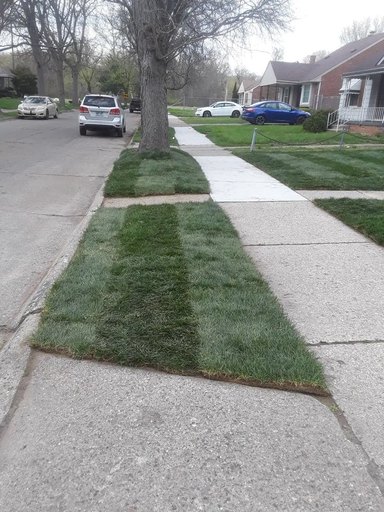 Custom landscape installation in Detroit, MI by Expert Care Lawn & Property Services