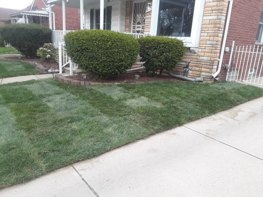 Custom lawn mowing service in Detroit, MI by Expert Care Lawn & Property Services
