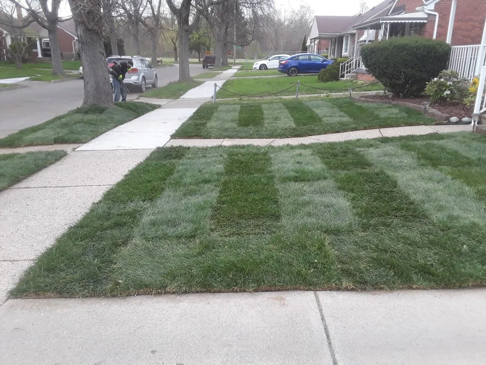 Custom landscape installation for beautiful yards in Detroit, MI by Expert Care Lawn & Property Services