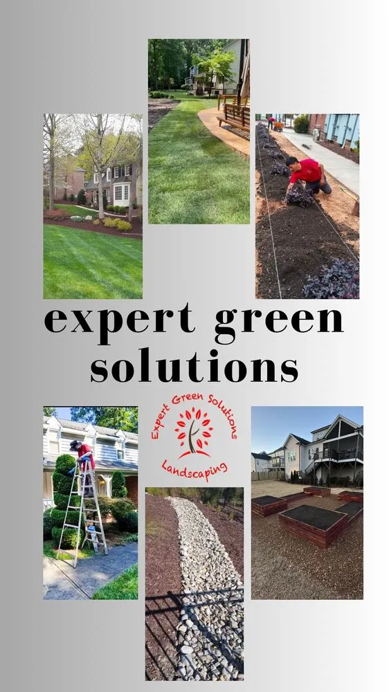 Top-rated lawn mowing service near you in Raleigh, NC by Expert Green Solutions