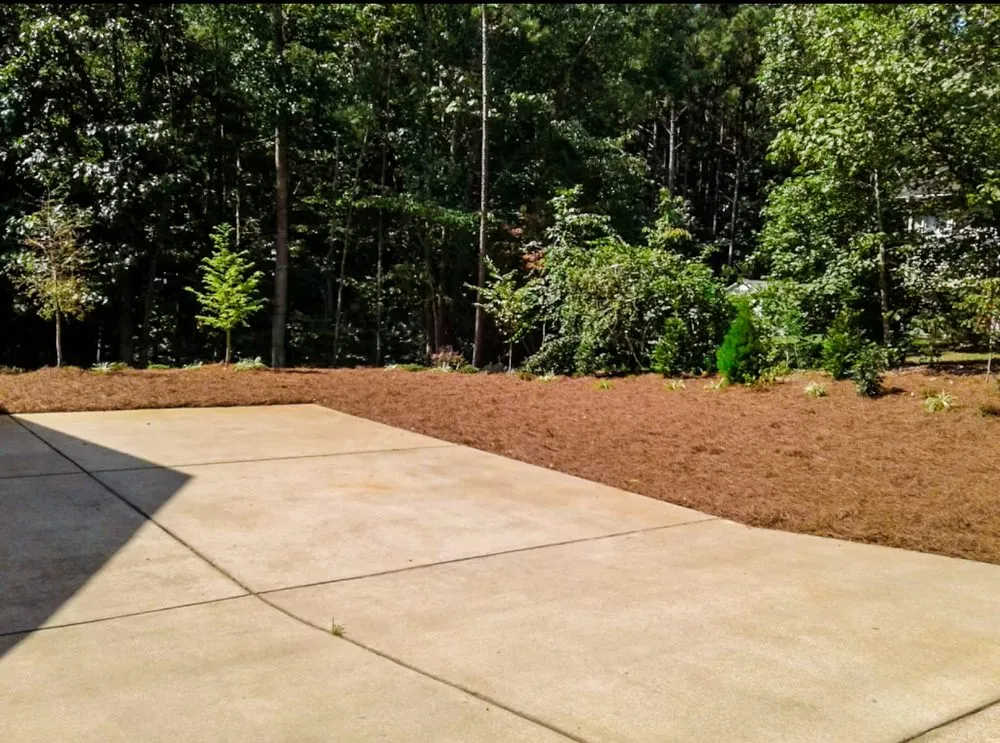 Trusted landscape installation experts serving Raleigh, NC - Expert Green Solutions