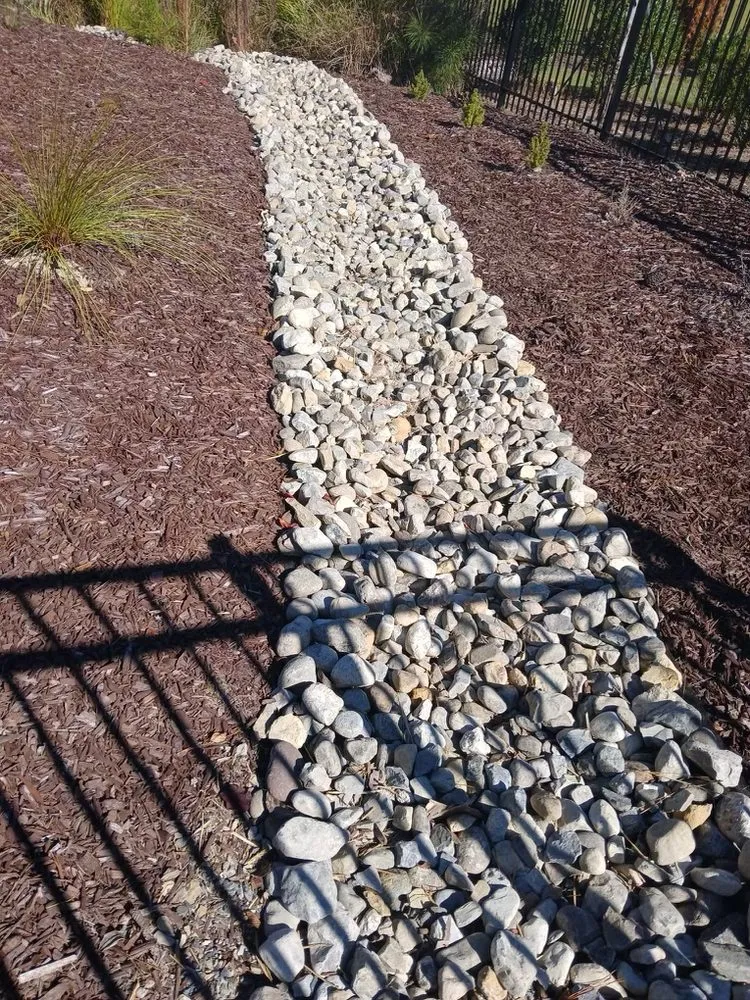 Professional yard cleanup service in Raleigh, NC - Expert Green Solutions