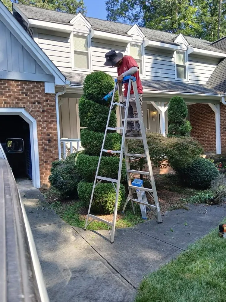 Trusted yard cleanup service in Raleigh, NC by Expert Green Solutions