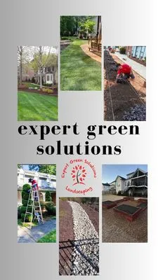 Expert Green Solutions Logo