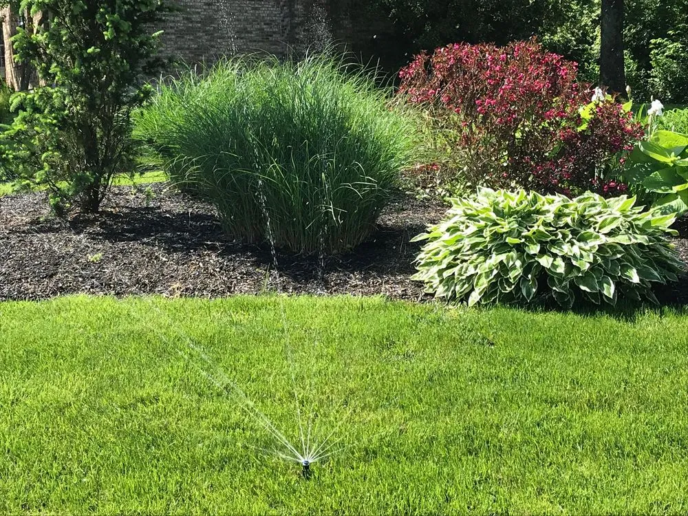 Affordable lawn care service in Hebron, KY - Expert Irrigation & Outdoor Lighting