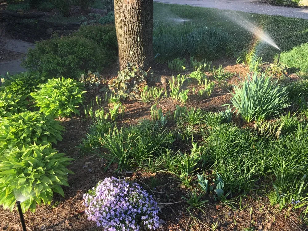 Local yard cleanup service for homes in Hebron, KY by Expert Irrigation & Outdoor Lighting