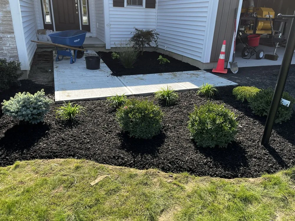 Affordable lawn care service near you across Scotia, NY - Expert Labor