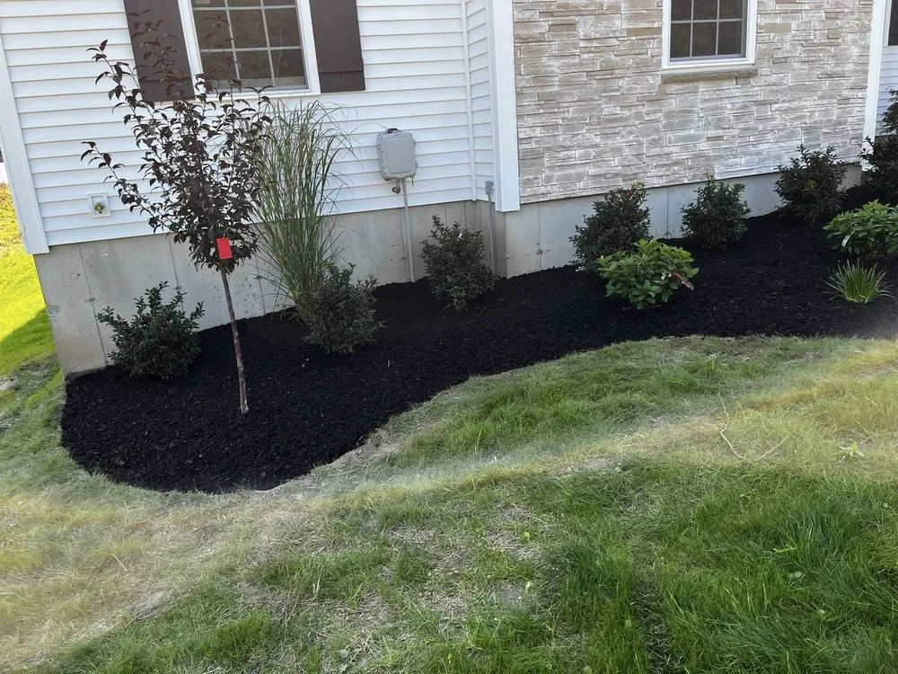 Affordable outdoor landscaping experts serving Scotia, NY - Expert Labor
