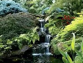 Reliable landscape design for year-round maintenance across Pflugerville, TX - Expert Landscaping