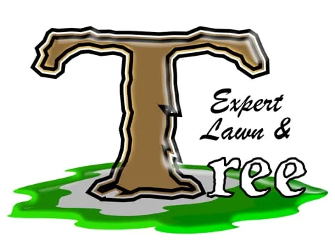 Reliable outdoor landscaping in Boise, ID - Expert Lawn & Tree