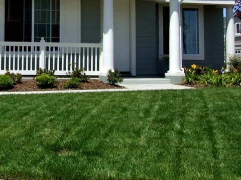 Top-rated landscape design for year-round maintenance in Boise, ID by Expert Lawn & Tree