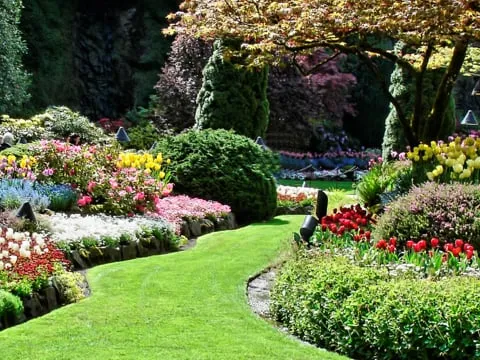 Trusted outdoor landscaping experts serving Boise, ID - Expert Lawn & Tree