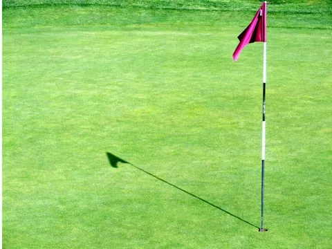 Trusted lawn care service for outdoor upgrades across Boise, ID - Expert Lawn & Tree