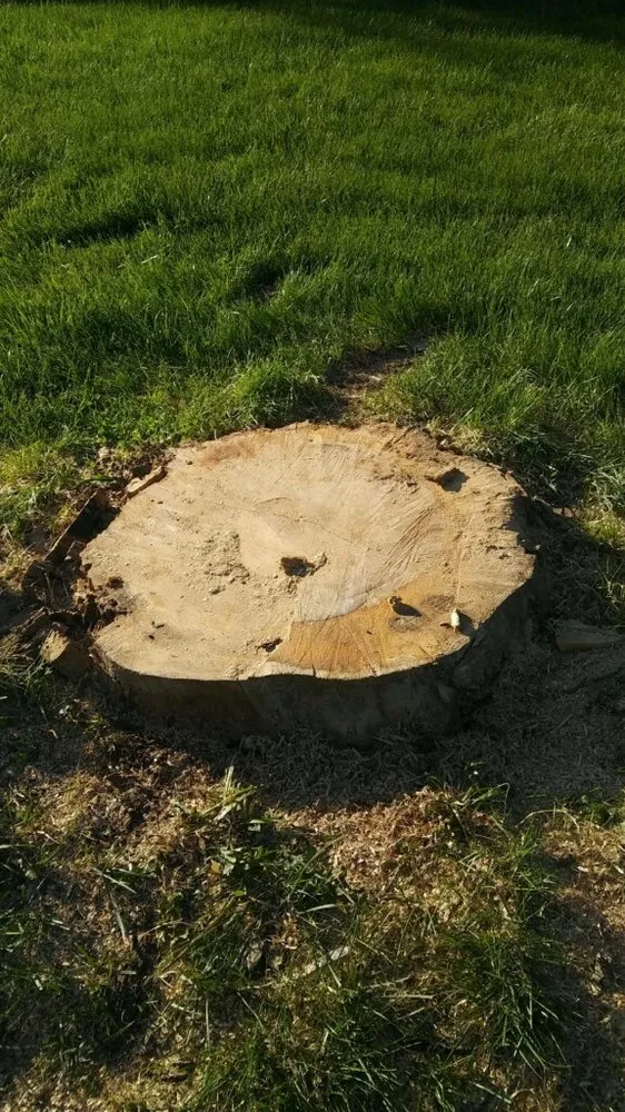 Top-rated residential landscaping for homes in Matteson, IL by Expert Lawn & Tree Service