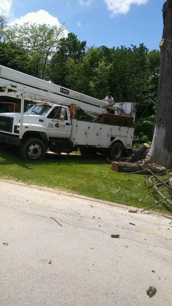 Custom yard cleanup service with custom design in Matteson, IL by Expert Lawn & Tree Service