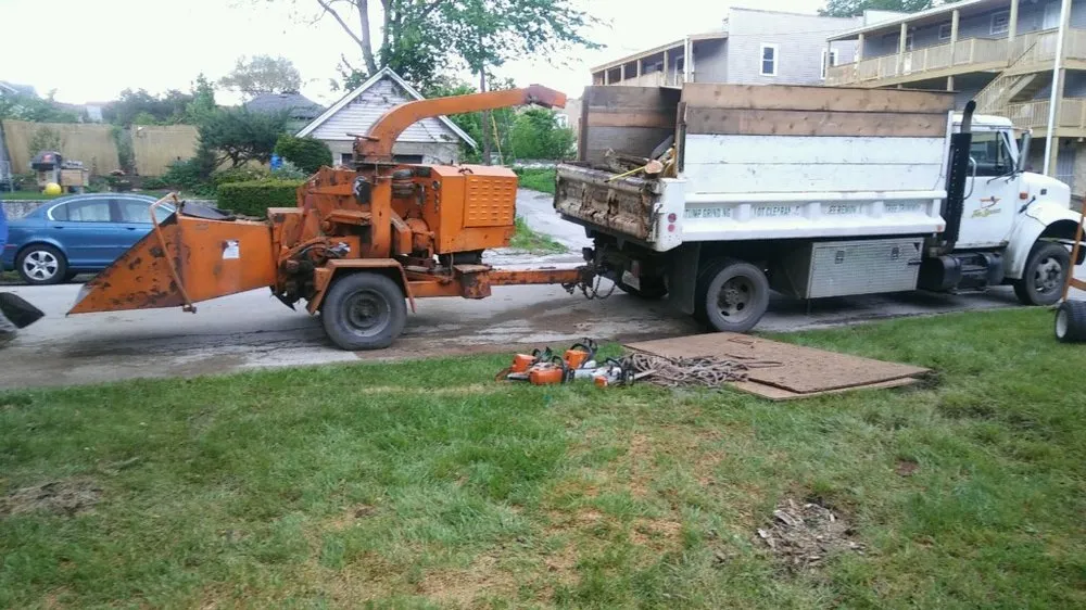 Expert yard cleanup service for year-round maintenance across Matteson, IL - Expert Lawn & Tree Service