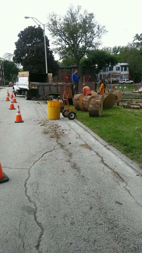 Custom lawn mowing service for residential properties across Matteson, IL - Expert Lawn & Tree Service