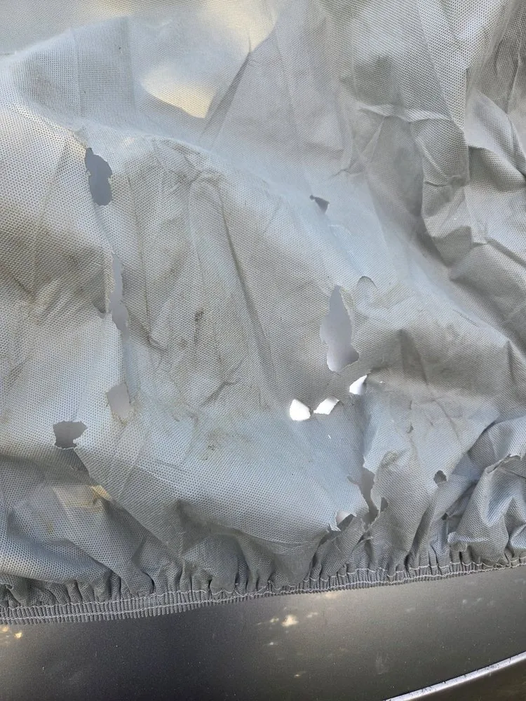 Professional lawn mowing service for year-round maintenance in Bonita Springs, FL by Expert Lawn Care